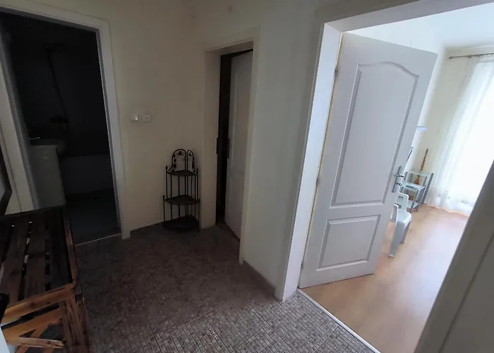 Psb In Flores Park Slantchev Briag